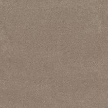 Shaw Floors PET PERFECT PLUS Vivid Touch II Stonecrest 00123_5E874