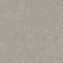 Shaw Floors PET PERFECT PLUS Vivid Touch II Chic Taupe 00124_5E874