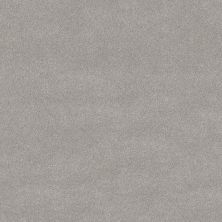 Shaw Floors PET PERFECT PLUS Vivid Touch II Four Winds 00520_5E874