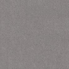 Shaw Floors PET PERFECT PLUS Vivid Touch II Graphic 00522_5E874