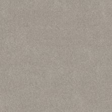 Shaw Floors PET PERFECT PLUS Vivid Touch II Marble 00523_5E874