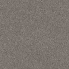 Shaw Floors PET PERFECT PLUS Vivid Touch II Shadows 00524_5E874