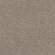 Shaw Floors PET PERFECT PLUS Vivid Touch II Mocha 00721_5E874