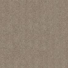 Shaw Floors VA251 Cottage Cream 00112_VA251
