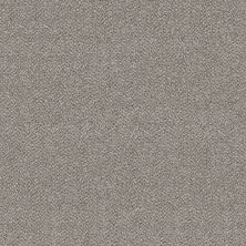 Shaw Floors VA251 Whisper 00120_VA251