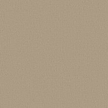 Shaw Floors Studio Plaza Twine 00100_5E870