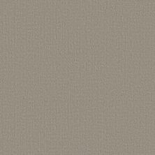 Shaw Floors Studio Plaza Sandstone 00115_5E870