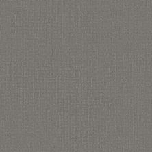Shaw Floors Studio Plaza Lunar Haze 00509_5E870