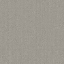 Shaw Floors Studio Plaza Sterling 00556_5E870
