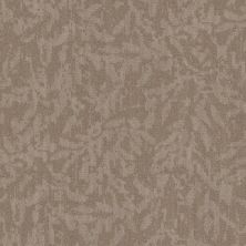 Philadelphia Commercial New Take Modern Heirloom BL Windsor Tan 00208_55014