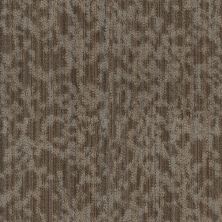 Philadelphia Commercial Natural Shelter Folium Bl Canopy 00710_55017