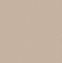 Shaw Floors Pet Perfect Plus Secret Journey Dune View 00120_5E875