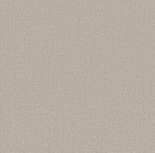 Shaw Floors Pet Perfect Plus Secret Journey Beige Mist 00121_5E875