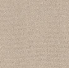 Shaw Floors Pet Perfect Plus Secret Journey Cafe Latte 00122_5E875