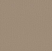 Shaw Floors Pet Perfect Plus Secret Journey Stonecrest 00123_5E875