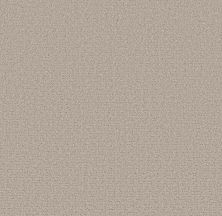 Shaw Floors Pet Perfect Plus Secret Journey Chic Taupe 00124_5E875