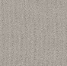 Shaw Floors Pet Perfect Plus Secret Journey Four Winds 00520_5E875