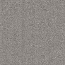 Shaw Floors Pet Perfect Plus Secret Journey Graphic 00522_5E875
