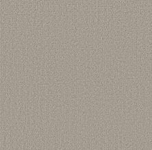 Shaw Floors Pet Perfect Plus Secret Journey Marble 00523_5E875