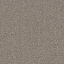 Shaw Floors Pet Perfect Plus Secret Journey Shadows 00524_5E875