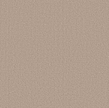 Shaw Floors Pet Perfect Plus Secret Journey Baja 00720_5E875