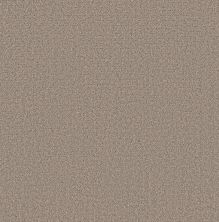 Shaw Floors Pet Perfect Plus Secret Journey Mocha 00721_5E875