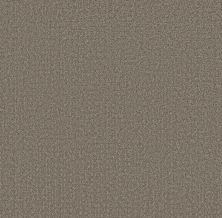 Shaw Floors Pet Perfect Plus Secret Journey Hideaway 00722_5E875