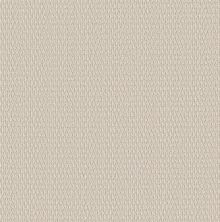 Shaw Floors PET PERFECT PLUS Cozy Embrace Ivory 00100_5E881