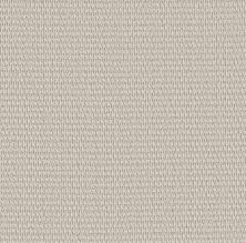 Shaw Floors PET PERFECT PLUS Cozy Embrace Twilight 00101_5E881