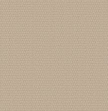 Shaw Floors PET PERFECT PLUS Cozy Embrace Muslin 00103_5E881