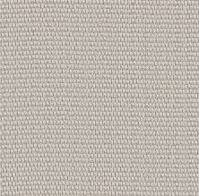 Shaw Floors PET PERFECT PLUS Cozy Embrace Creamy 00106_5E881