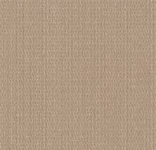 Shaw Floors PET PERFECT PLUS Cozy Embrace Sun Bleached 00110_5E881