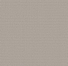 Shaw Floors PET PERFECT PLUS Cozy Embrace Platinum 00502_5E881