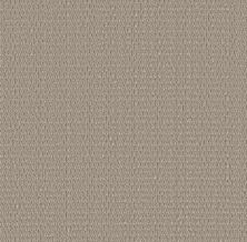 Shaw Floors PET PERFECT PLUS Cozy Embrace Warm Taupe 00505_5E881
