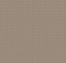 Shaw Floors PET PERFECT PLUS Cozy Embrace Rattan 00704_5E881