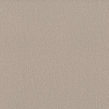 Shaw Floors Studio Set Twine 00100_5E869
