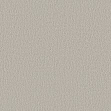 Shaw Floors Studio Set Forest Fog 00107_5E869
