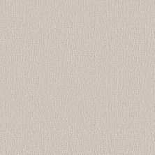 Shaw Floors Studio Set Scotch Mist 00109_5E869