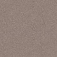 Shaw Floors Studio Set Kindling 00113_5E869