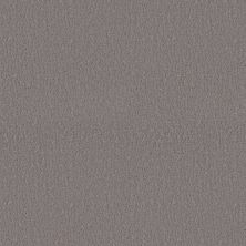Shaw Floors Studio Set Fallen Acorn 00501_5E869