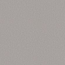 Shaw Floors Studio Set Sterling 00556_5E869