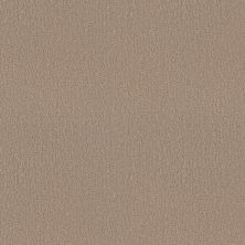 Shaw Floors Studio Set Worn Path 00700_5E869
