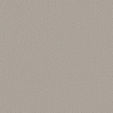 Shaw Floors Believe Antiquity 00132_5E893