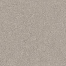 Shaw Floors Believe Silence 00137_5E893