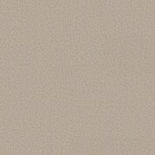 Shaw Floors Believe Outer Banks 00230_5E893