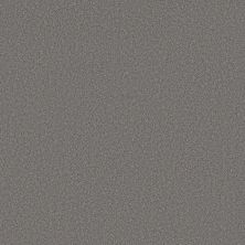 Shaw Floors Believe Cool Wind 00530_5E893