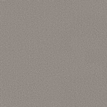 Shaw Floors Believe Greige 00730_5E893