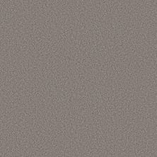 Shaw Floors Believe Pier 00731_5E893