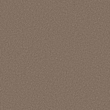 Shaw Floors Believe Slate 00732_5E893