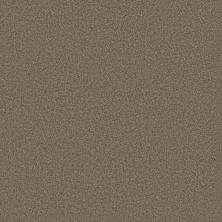 Shaw Floors Believe Smoked Tan 00733_5E893